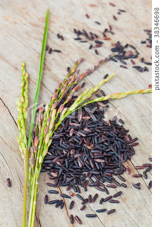 Close up of rice berry seed with rice spike. Close up of rice berry seed with rice spike. 38346698