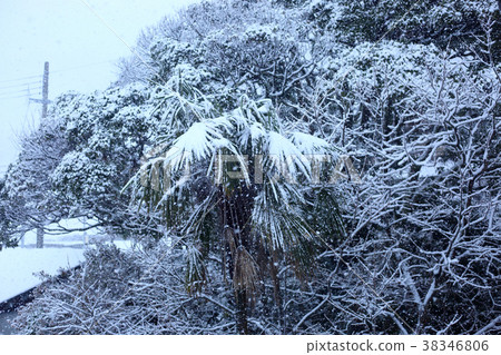 Snow scene in the Sea of Japan (Fukui Prefecture / Takahama Town) 38346806