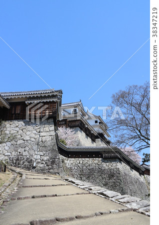 松山城堡在春天 松山城堡在春天 38347219
