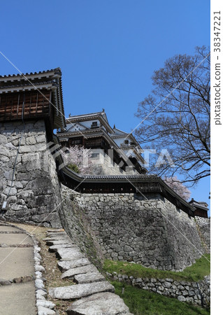 松山城堡在春天 38347221