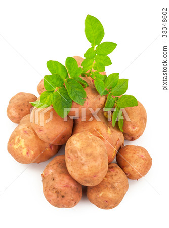 Red potatoes with leaves on a white Red potatoes with leaves on a white 38348602