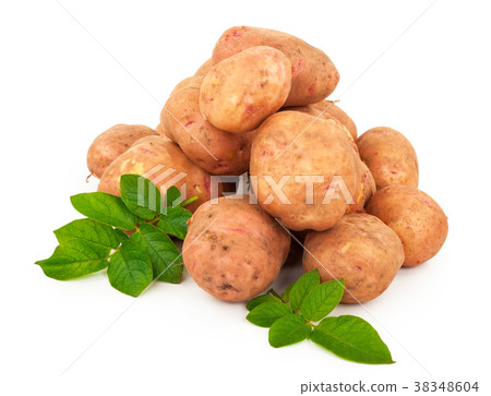Red potatoes with leaves on a white 38348604