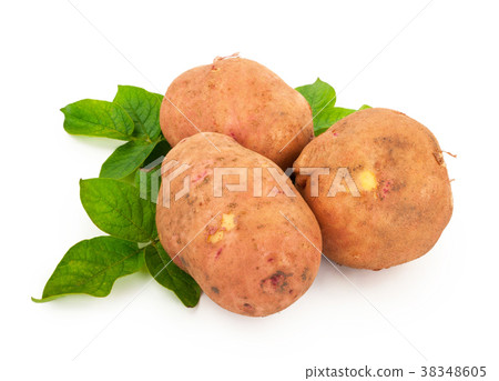 Red potatoes with leaves on a white Red potatoes with leaves on a white 38348605