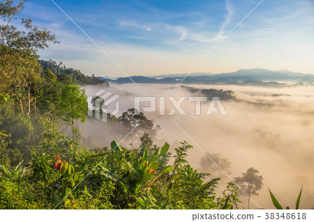 mist above mountain in the morning mist above mountain in the morning 38348618