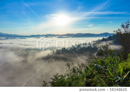 mist above mountain in the morning mist above mountain in the morning 38348620