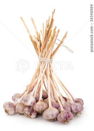 Garlic 38348984