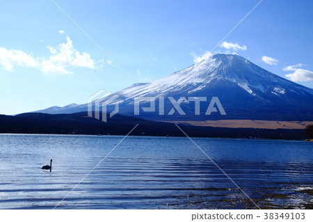 富士山，山中湖，平原地區，天鵝 38349103