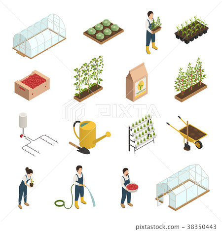Greenhouse Elements Isometric Icons Set 38350443