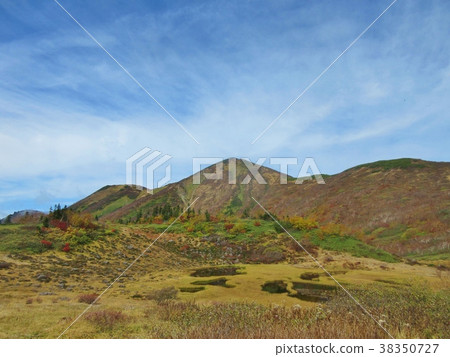 Mt. Hatsuyama Tengu's Garden 38350727