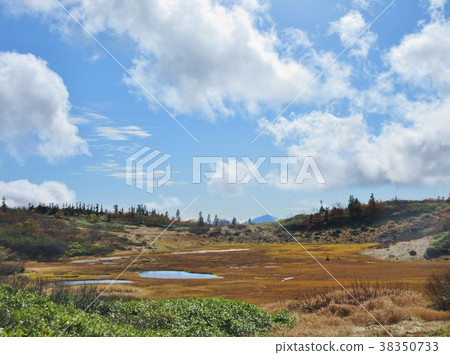 Hatsuyama Tengu山的花園 38350733