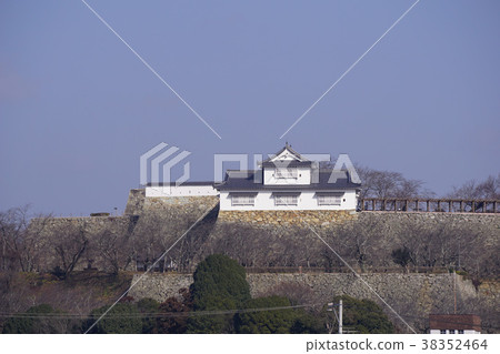"Okayama prefecture cherry blossom viewing site" Tsuruyama park (Tsuyama castle toe) ": Bikanaru 38352464