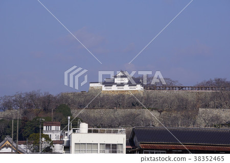 The famous spot "Tsuruyama Park (Tsuyama Castle Fort)" of Sakura in Tsuyama City, Okayama Prefecture: A panoramic view The famous spot "Tsuruyama Park (Tsuyama Castle Fort)" of Sakura in Tsuyama City, Okayama Prefecture: A panoramic view 38352465