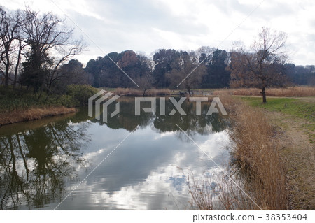 古河綜合公園 38353404