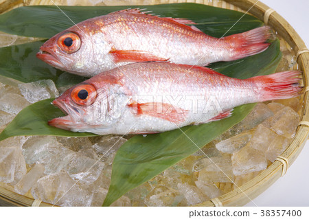 Nodoguro成分 38357400