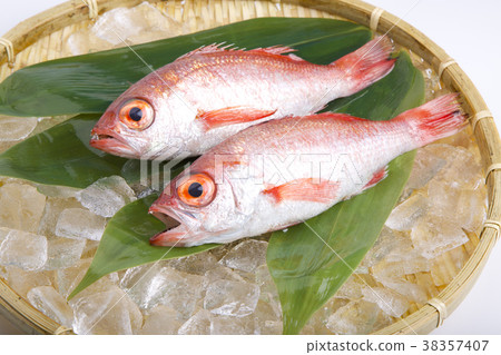 Nodoguro成分 38357407