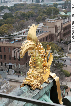 Osaka Castle Gold of Shachihoko Osaka Castle Gold of Shachihoko 38357938