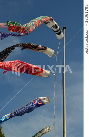    Carp streamer 38361799