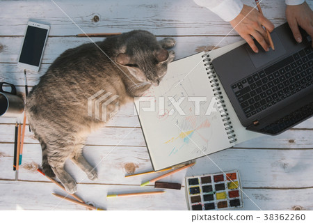 Creative working space Creative working space 38362260