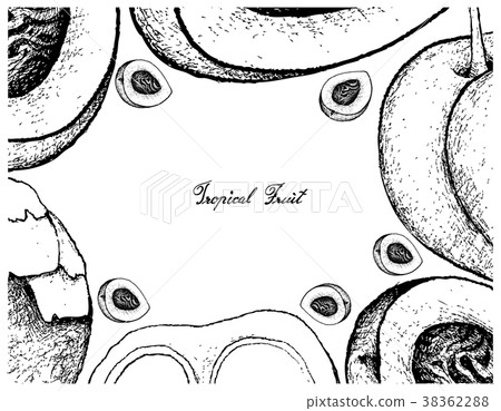 Frame of Peach or Nectarine and Sugar Palm Frame of Peach or Nectarine and Sugar Palm 38362288