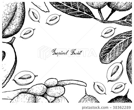 Frame of Karanda and Double Coconut Fruits 38362289