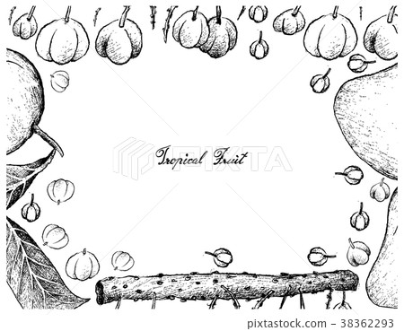 Frame of Otaheite Gooseberry and Mango Fruits Frame of Otaheite Gooseberry and Mango Fruits 38362293