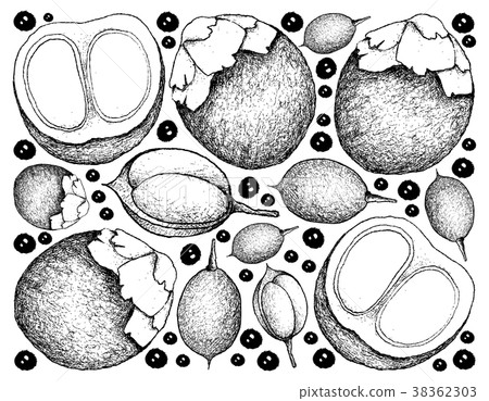 Background of Sugar Palm and Mamoncillo Fruits 38362303