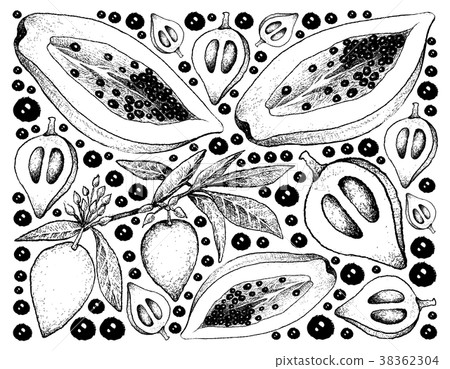 Background of Canistel and Papaya Fruits 38362304