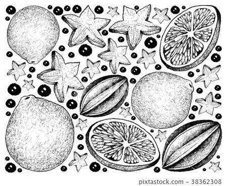 Hand Drawn Background of Carambola and Lime Fruits 38362308