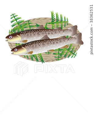 Mountain fishes various rock fish 38362531