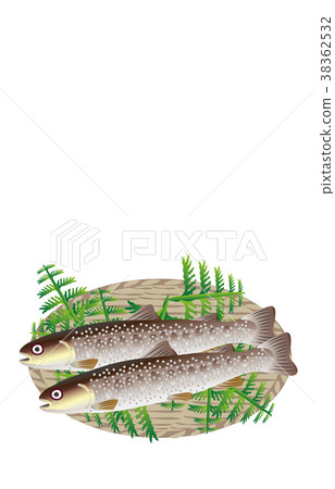 Mountain fishes various rock fish 38362532