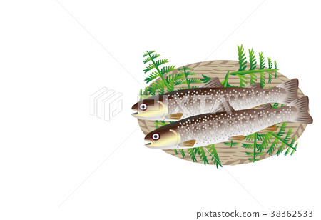 Mountain fishes various rock fish 38362533