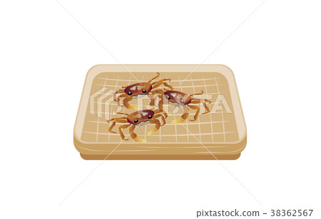 山林小樹林 山林小樹林 38362567