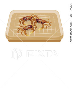 山林小樹林 山林小樹林 38362568