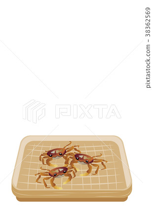 山林小樹林 山林小樹林 38362569