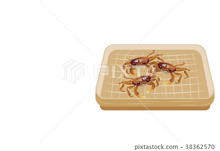 山林小樹林 38362570