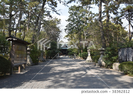 靜岡縣濱松八幡宮 靜岡縣濱松八幡宮 38362812