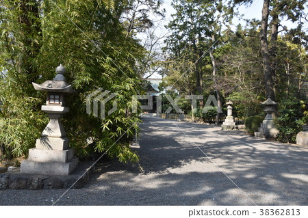 靜岡縣濱松八幡宮 靜岡縣濱松八幡宮 38362813