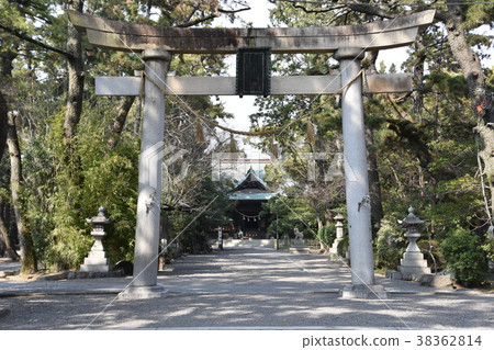 靜岡縣濱松八幡宮 靜岡縣濱松八幡宮 38362814