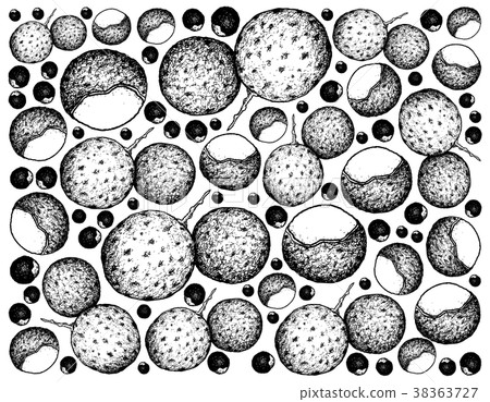 Hand Drawn Background of Fresh Longan Fruits 38363727