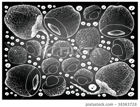Lychee and Coconut Fruits on Chalkboard 38363728