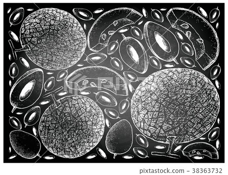 Melon and Sapodilla Plum Fruits on Chalkboard 38363732
