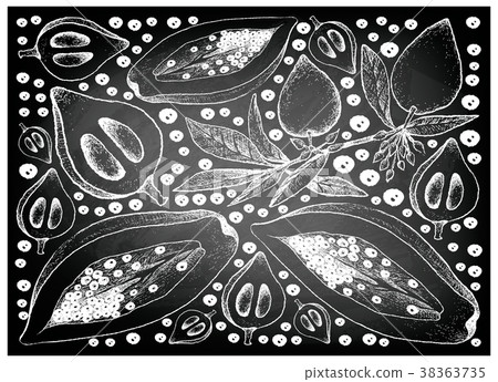 Canistel and Papaya Fruits on Chalkboard 38363735