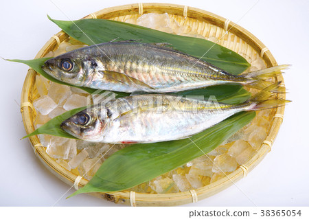 Horse mackerel Horse mackerel 38365054