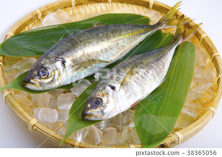 Horse mackerel 38365056