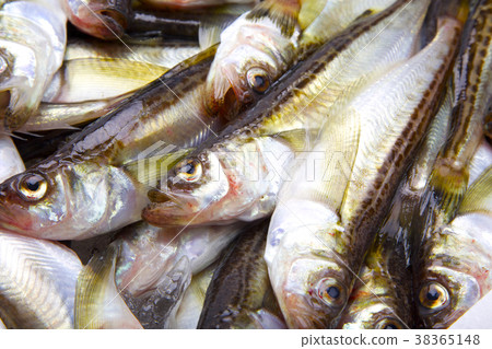 Hatahata ingredients 38365148