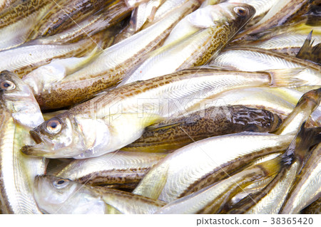 Hatahata ingredients 38365420