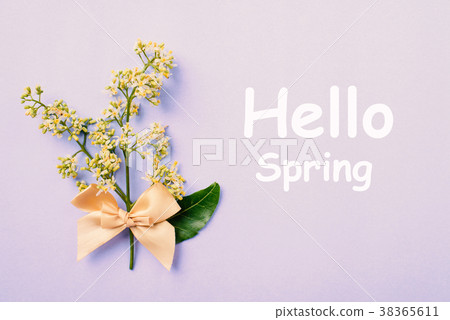 Beautiful flowers with Hello spring text Beautiful flowers with Hello spring text 38365611
