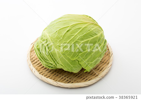 cabbage cabbage 38365921