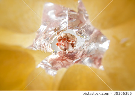 The gesture of the hand is about to pick up. The gesture of the hand is about to pick up. 38366396