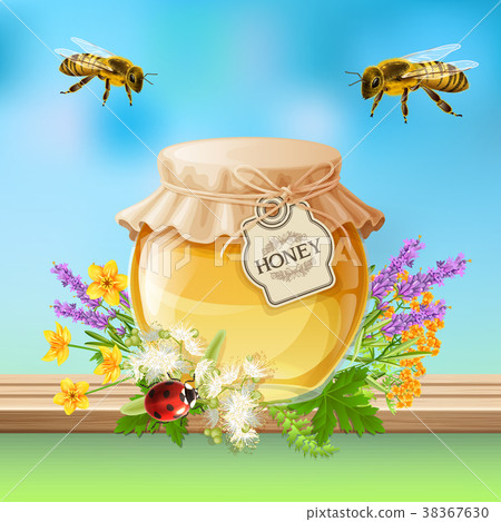 Insects Bees Realistic Insects Bees Realistic 38367630